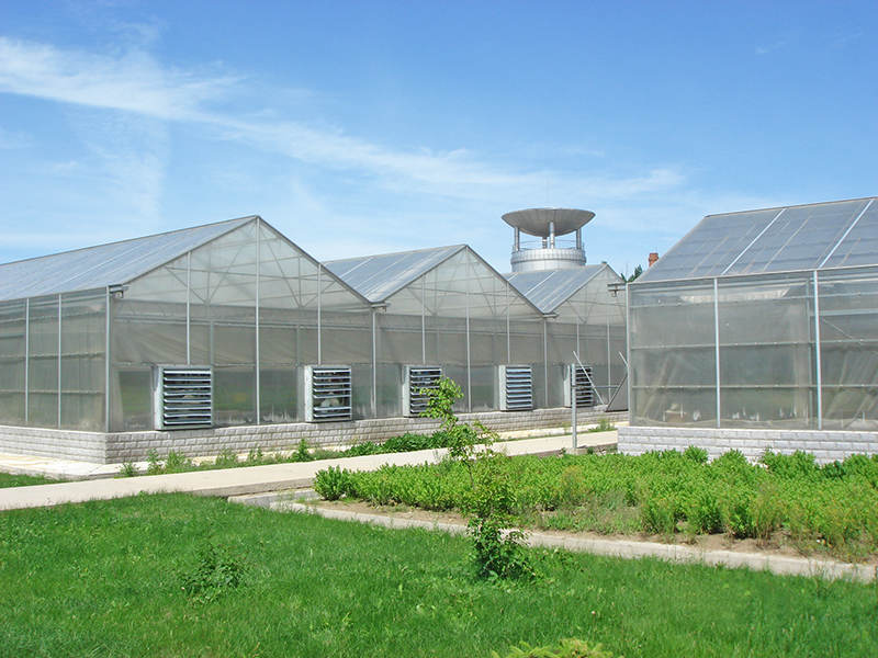 Best Greenhouse Polycarbonate Sheets