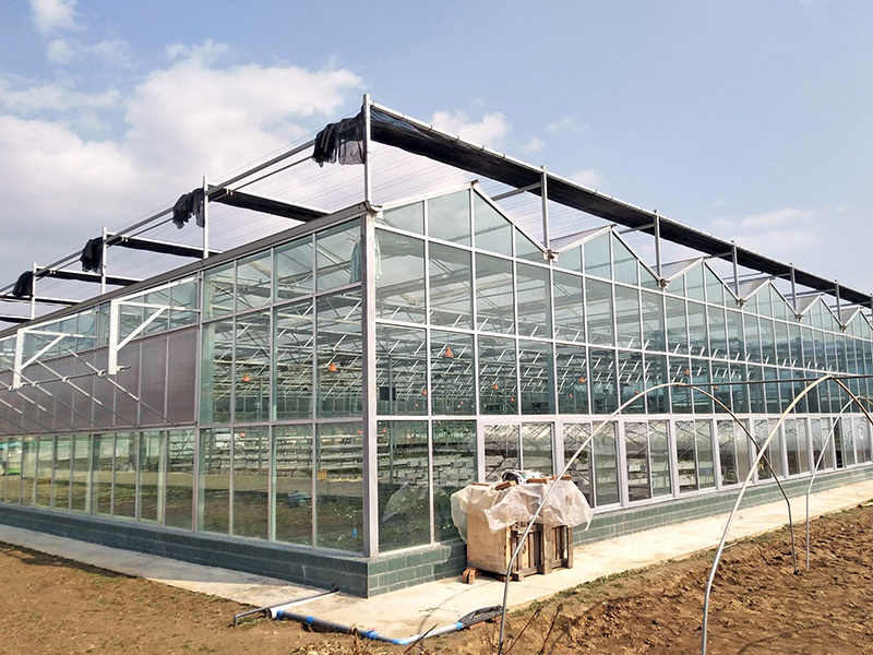 What Is The Best Polycarbonate Sheet For My Greenhouse?